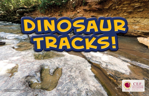 Dinosaur Tracks