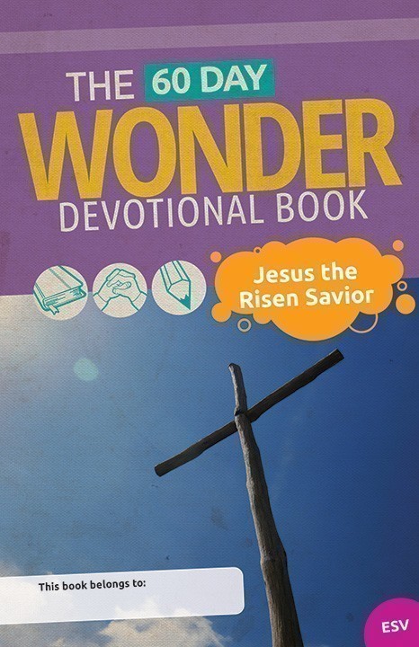 Book 12: "Jesus the Risen Savior"