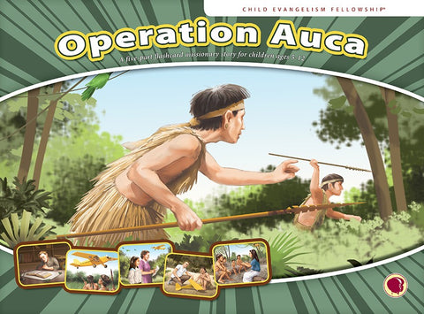 Operation Auca